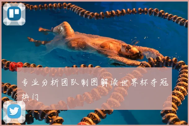 专业分析团队制图解读世界杯夺冠热门