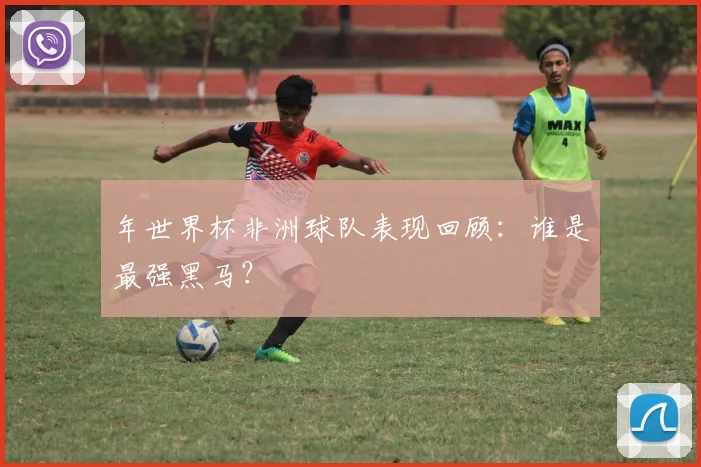 年世界杯非洲球队表现回顾：谁是最强黑马？