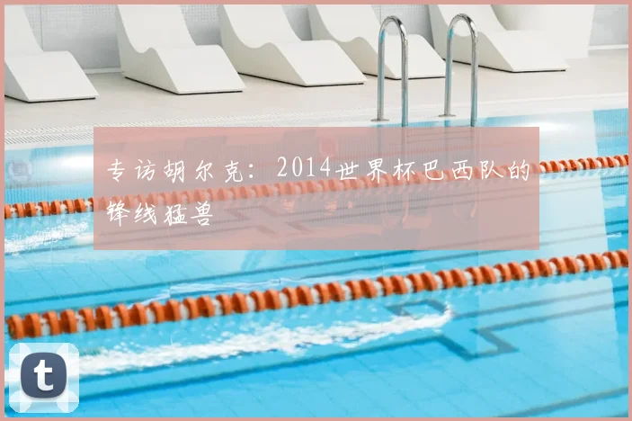 专访胡尔克：2014世界杯巴西队的锋线猛兽
