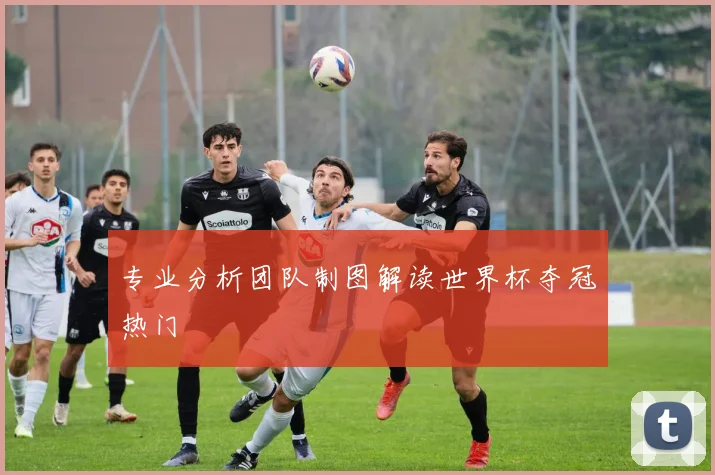 专业分析团队制图解读世界杯夺冠热门