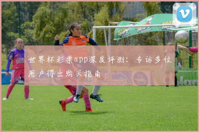 世界杯彩票app深度评测：专访多位用户得出购买指南