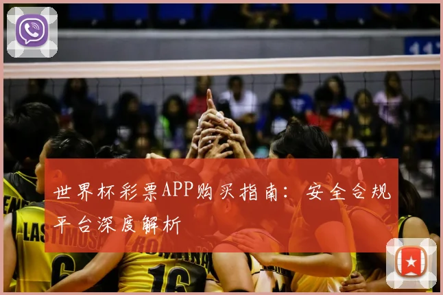 世界杯彩票APP购买指南：安全合规平台深度解析