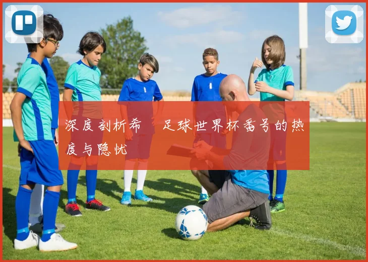 深度剖析希咲足球世界杯番号的热度与隐忧