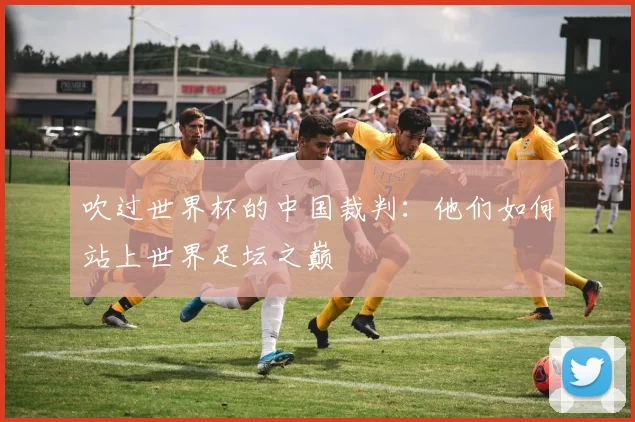 吹过世界杯的中国裁判:他们如何站上世界足坛之巅